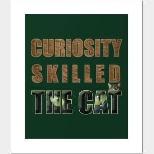 Curiosity Skilled The Cat Posters and Art